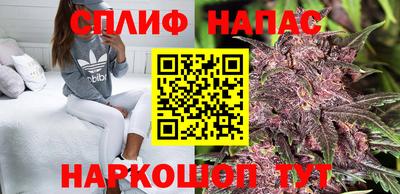 ПСИЛОЦИБИНОВЫЕ ГРИБЫ Бузулук