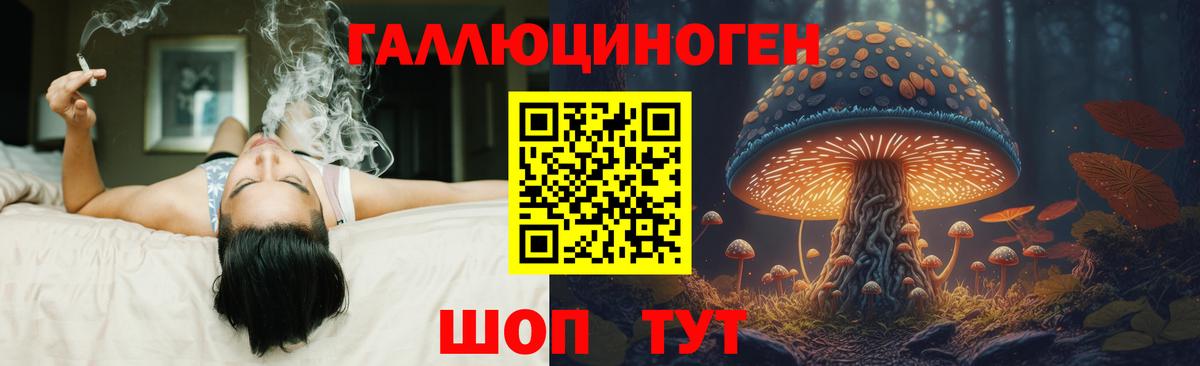 Галлюциногенные грибы прущие грибы Красноуфимск